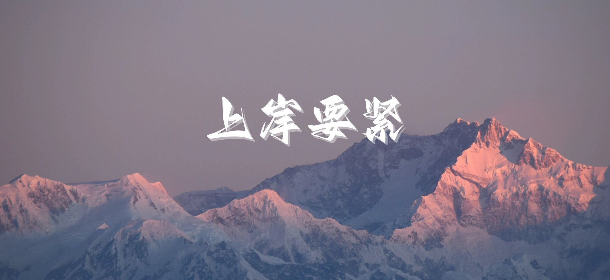 淘金教父官网