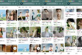 小红书卖PS插件 别人一年挣了300多万的虚拟产品