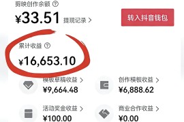 花了0成本，靠剪映模板一年挣了20多万