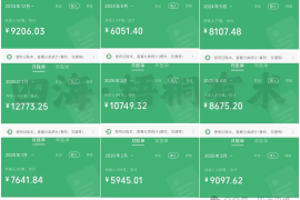 海社长谈项目：梧桐有术，互联网的终点站，1个想不赚钱都难的社群!