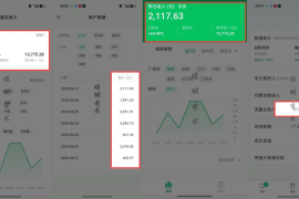 7天挣了13775块！这个扛水泥袋养家的男人，在梧桐有术找到了希望